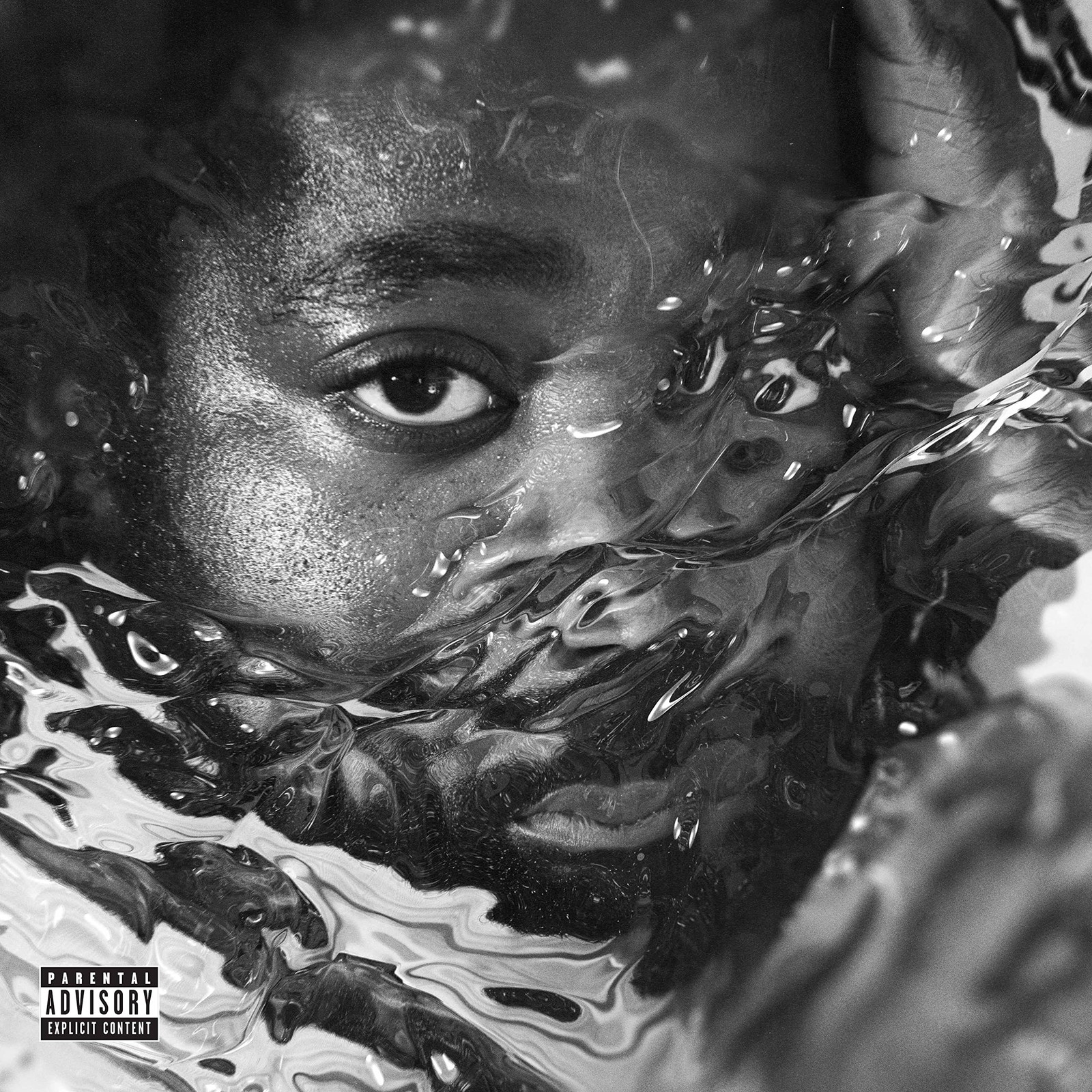 R.LUM.R Surfacing (CD)