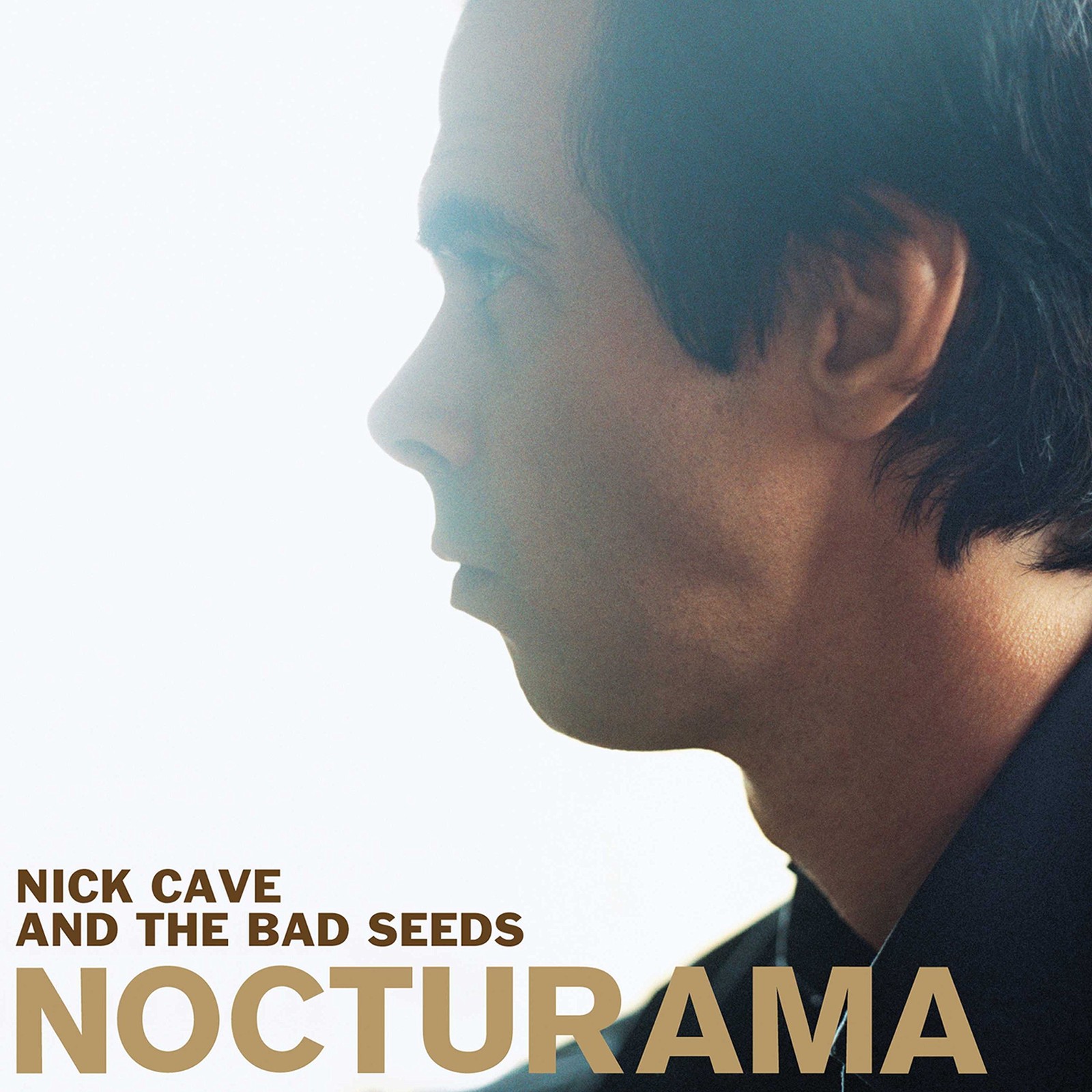 Nick Cave & the Bad Seeds Nocturama (Vinyl LP)