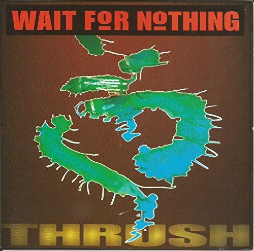 Wait For Nothing Thrush (CD)