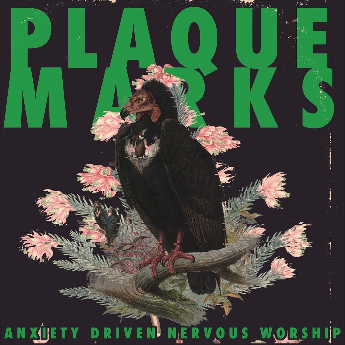 PLAQUE MARKS Anxiety Driven Nervous Worship (Vinyl LP)