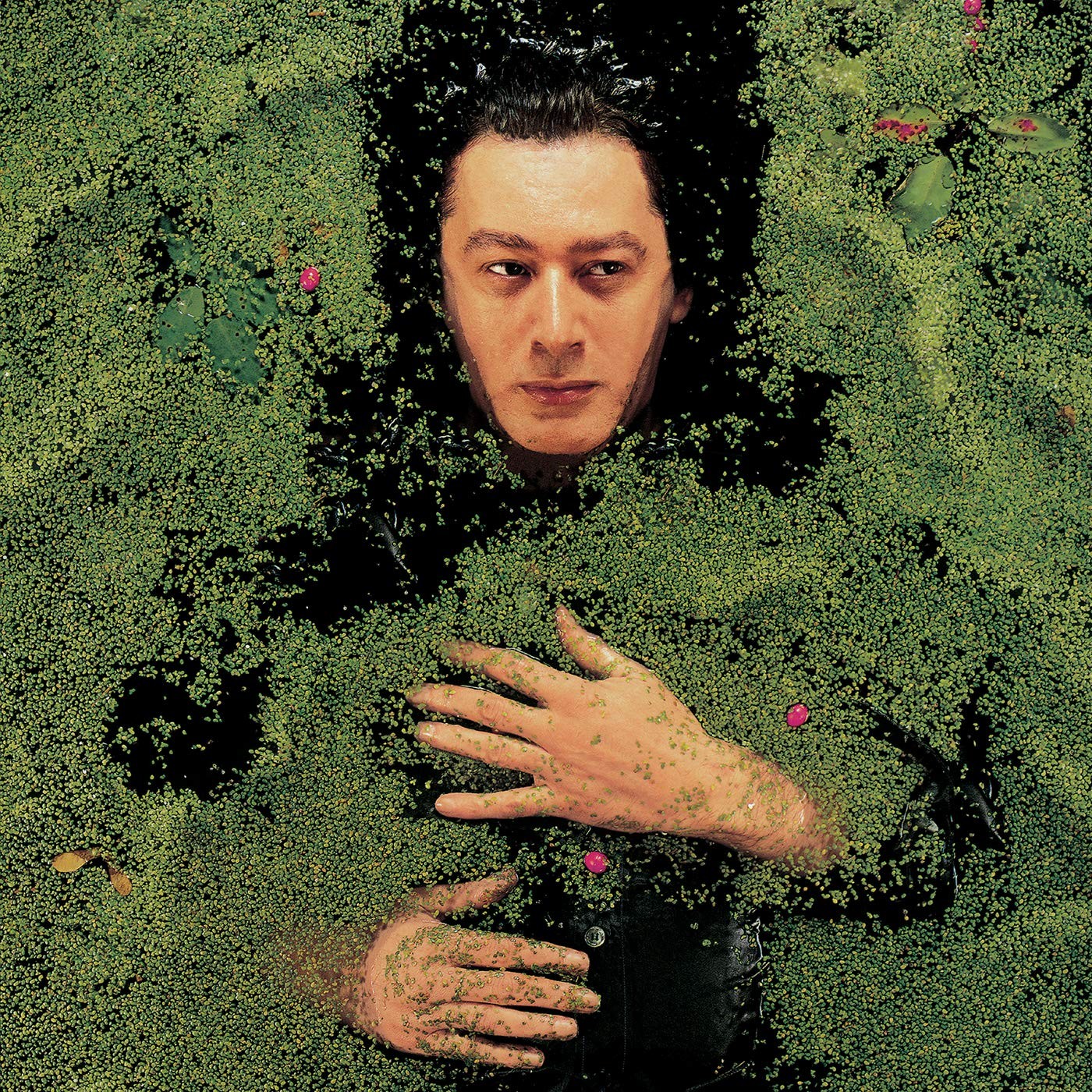 Alain Bashung Fantaisie Militaire (CD)