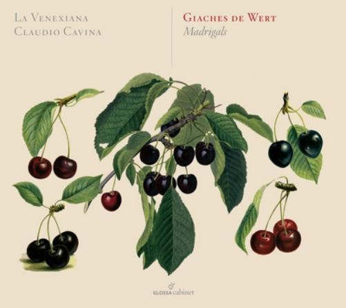 Giaches De Wert Giaches De Wert: Madrigals (CD) Album Digipak