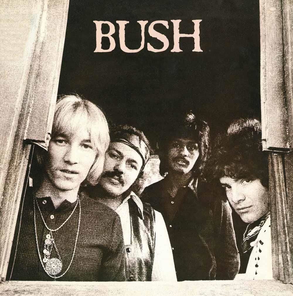 Audio Cd Bush - Bush
