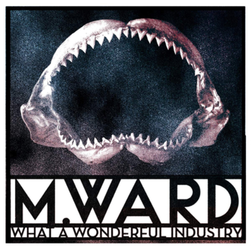 M. Ward What a Wonderful Industry (Vinyl LP) 12" Album