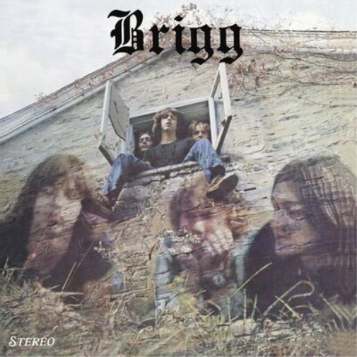 Brigg Brigg (Vinyl LP) 12" Album
