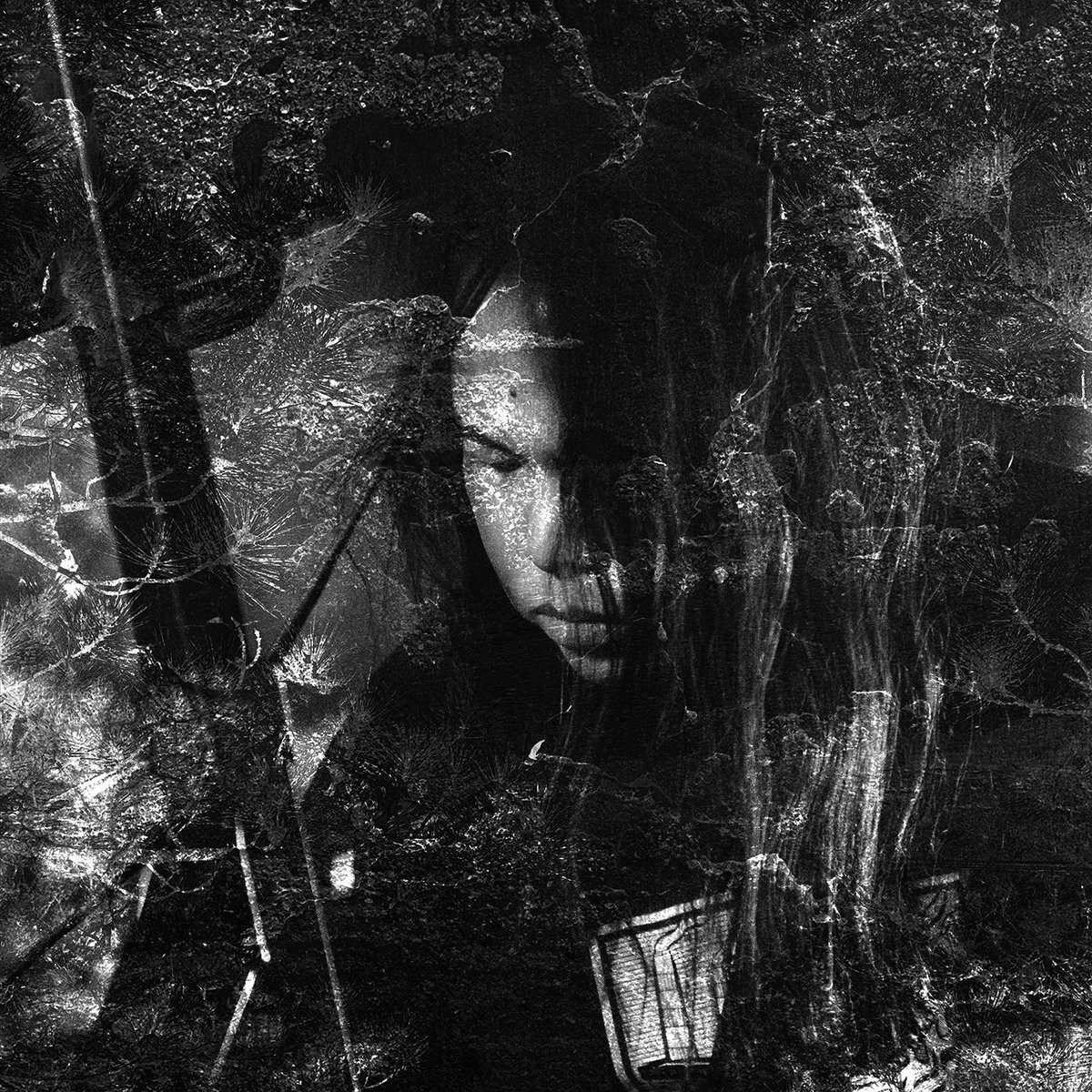Thisquietarmy Langue Hybride (Vinyl LP) 12" Album Coloured Vinyl with 7" Single