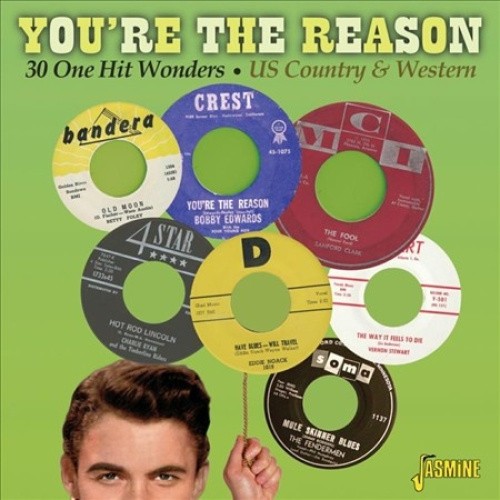You're The Reason - 30 One Hit Wonders - US Country & Western by Various Artists