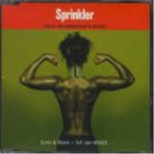 Sprinkler Leave Them Something to Desire (CD)
