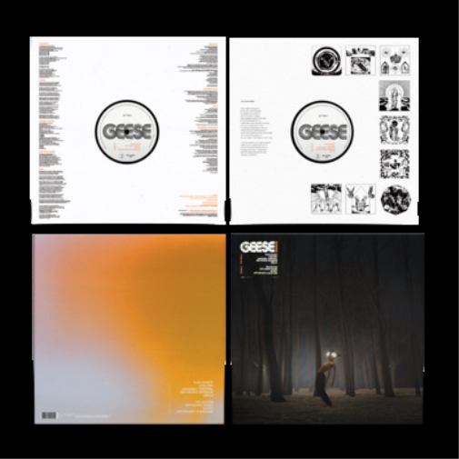 Geese Projector (Vinyl LP) 12" Album