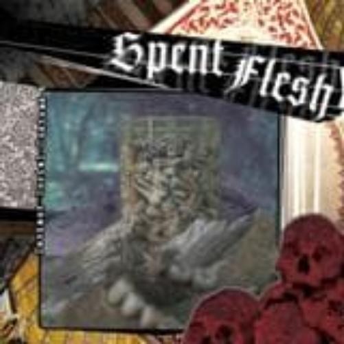 Spent Flesh Deviant Burial Customs (Vinyl LP) 7" Single