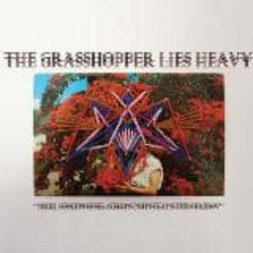 Grasshopper Lies Heavy All Sadness, Grinning Into Flow (CD)