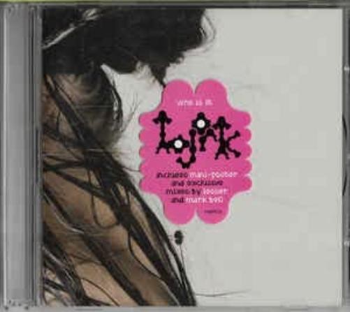 Bjork Who Is It
