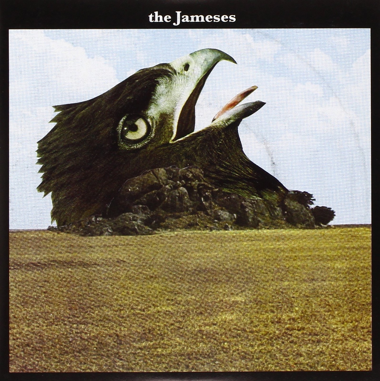 Jameses Caribou (Vinyl LP)