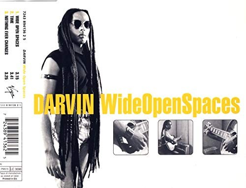 Darvin Wide open spaces (CD)