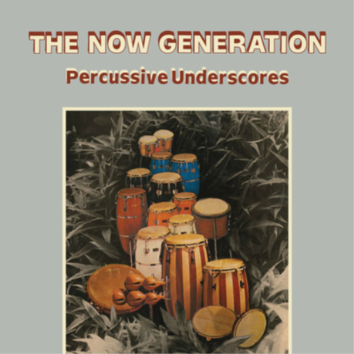 Peter Lüdemann/Pit Troja The Now Generation: Percussive Underscores (Vinyl LP)