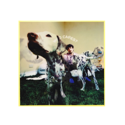 Rex Orange County WHO CARES? (Vinyl LP) 12" Album