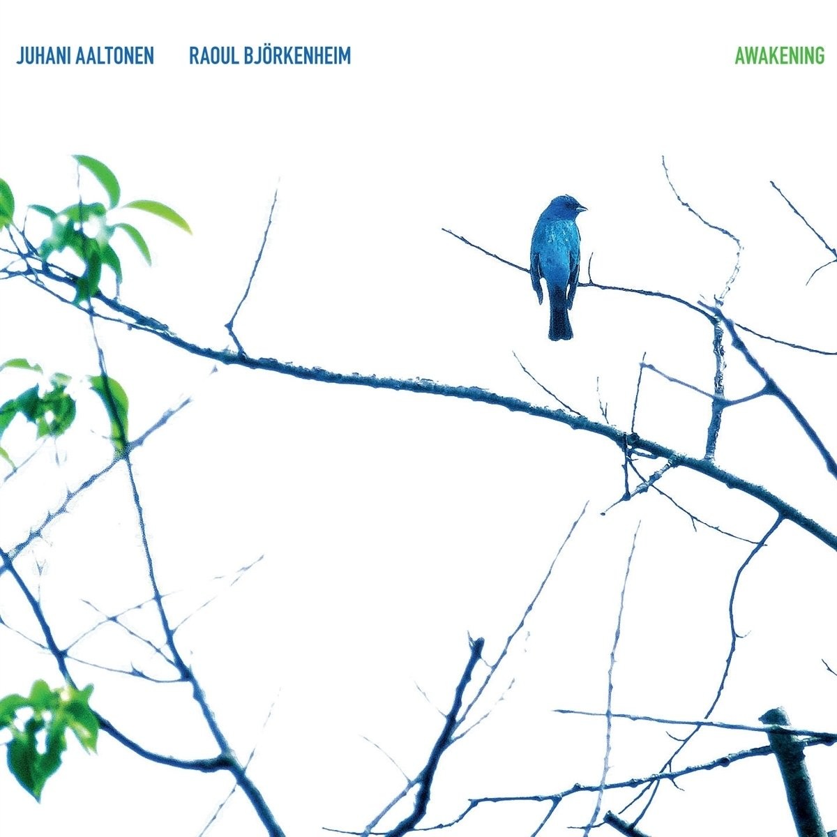 Raoul Bjorkenheim Awakening (CD)