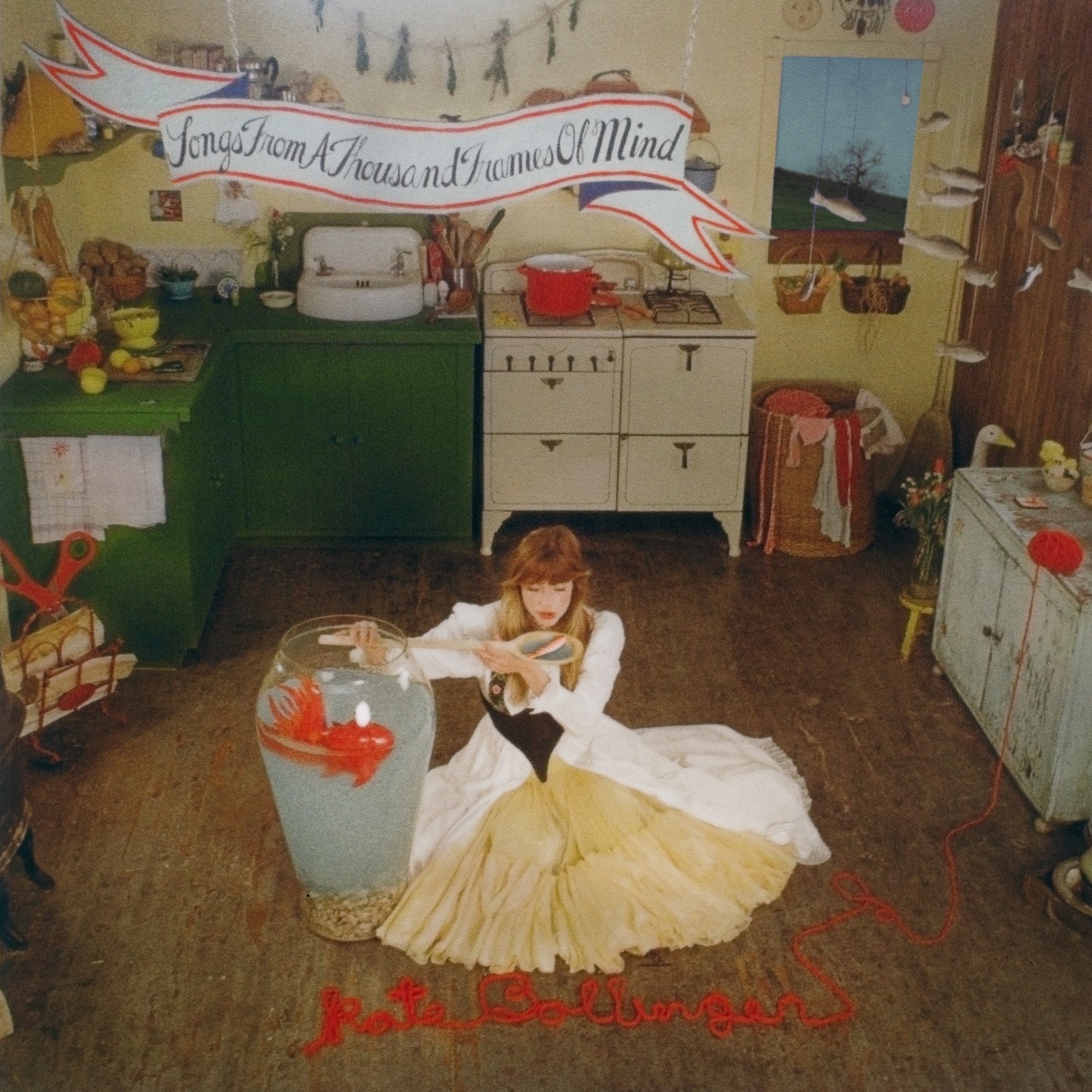 Kate Bollinger Songs from a Thousand Frames of Mind (Vinyl LP) 12" Album