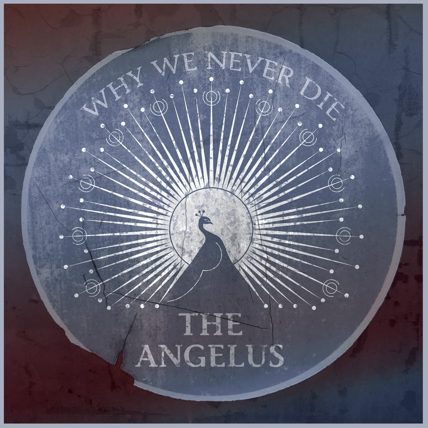 The Angelus Why We Never Die (CD)
