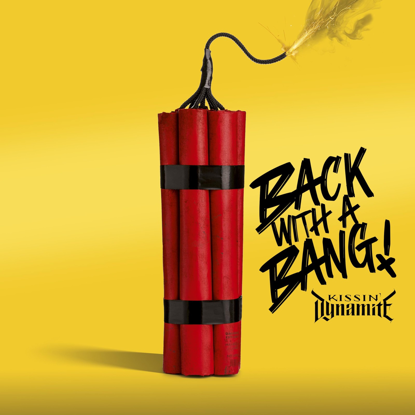 Kissin' Dynamite Back With a Bang / Box (CD)