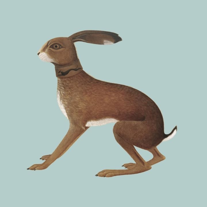 Vashti Bunyan Lookaftering - Expanded (CD)