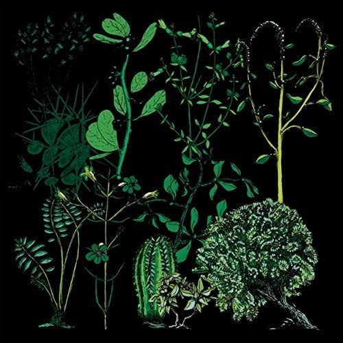 Campdogzz In Rounds (Vinyl LP)