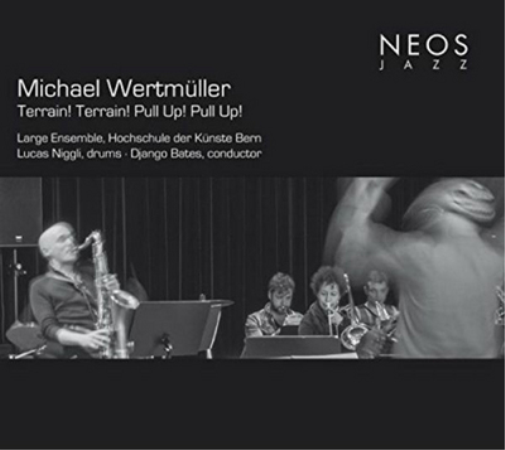 Michael Wertmüller Terrain! Terrain! Pull Up! Pull Up! (CD) Album