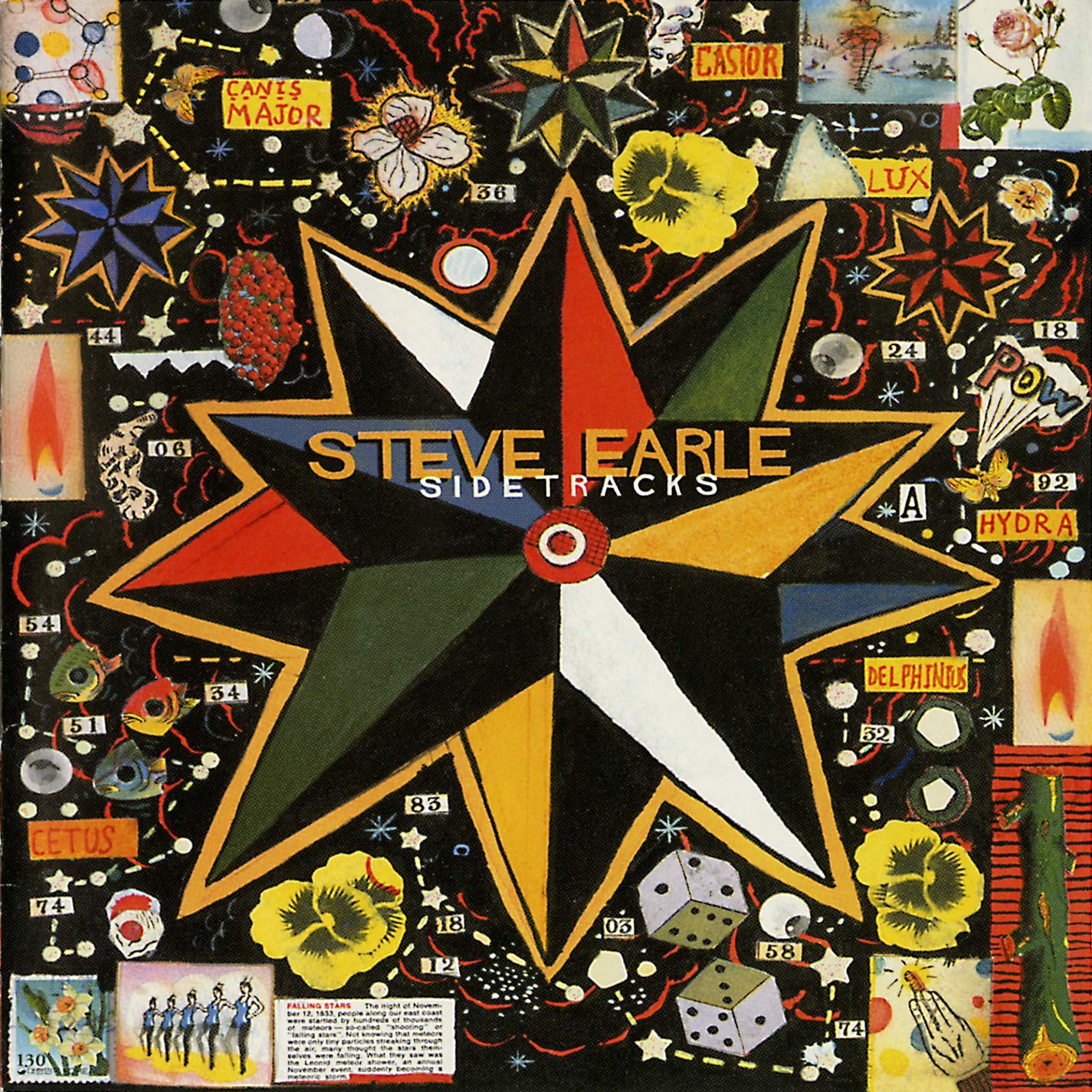 Earle Steve Sidetracks (CD)