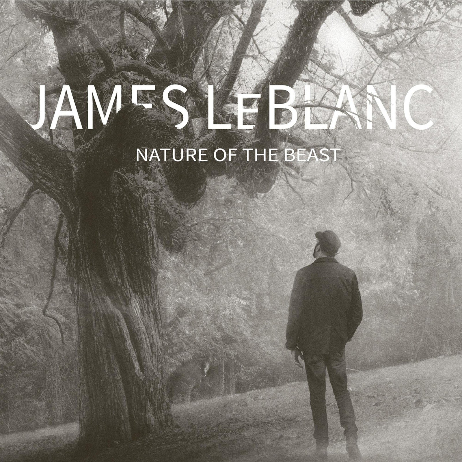 James Leblanc James Leblanc (CD)