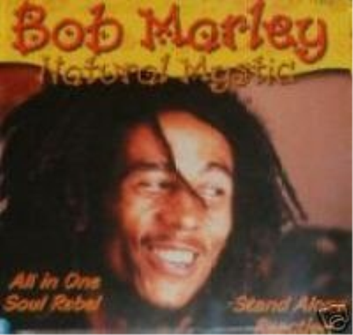 Bob Marley Natural Mystic (CD)