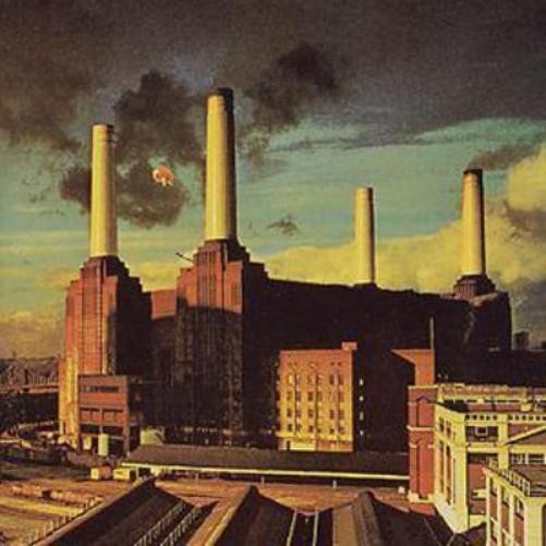 Pink Floyd Animals (CD) Album