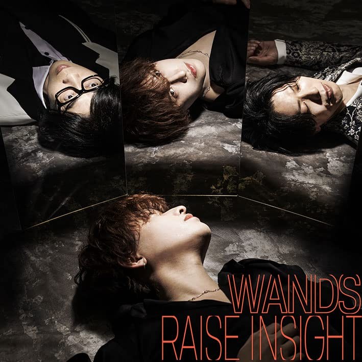 Wands Raise Insight (CD)