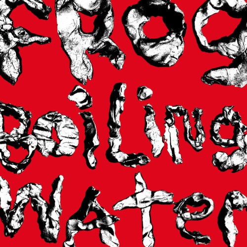 Frog in Boiling Water by DIIV [VINYL]