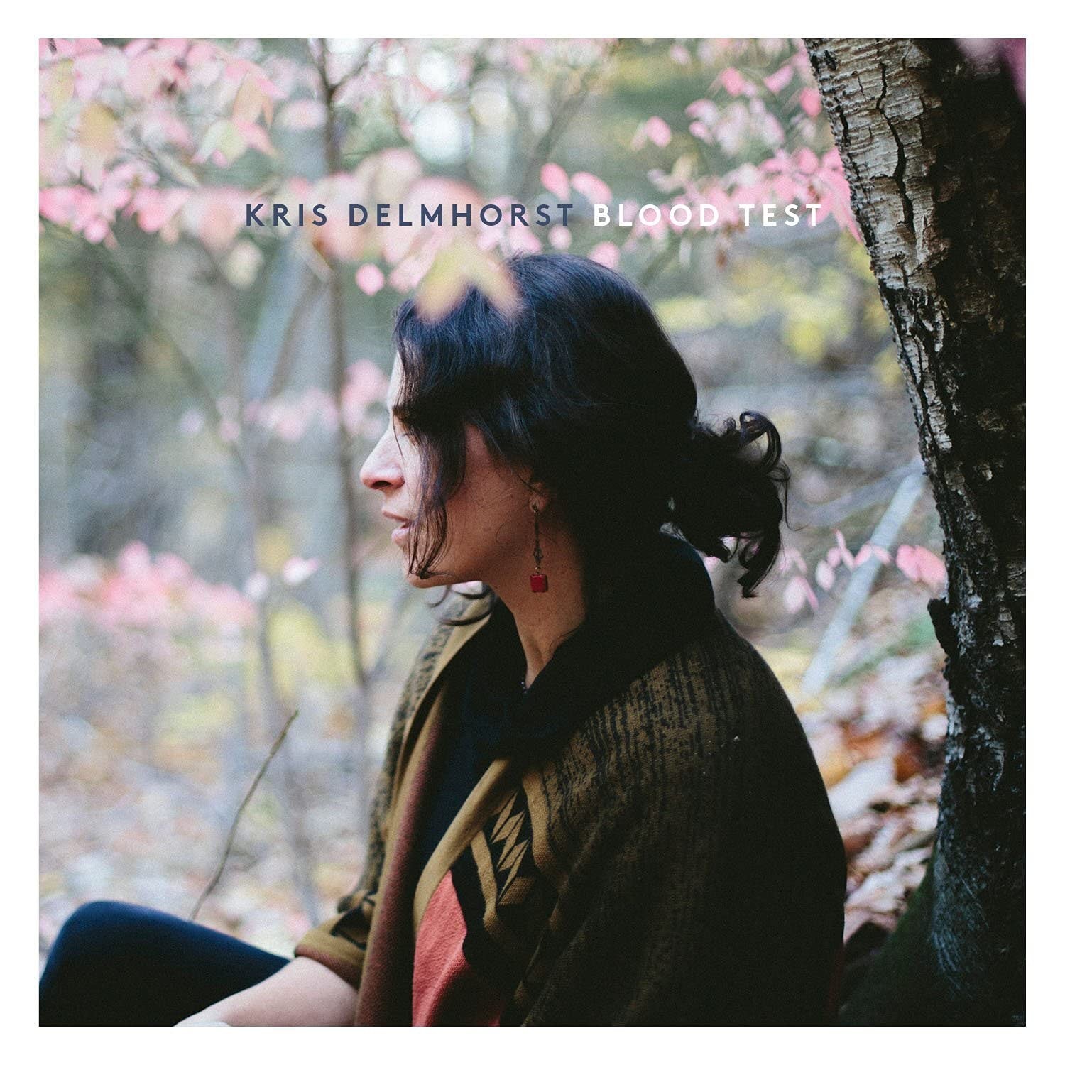 Kris Delmhorst Kris Delmhorst - Blood Test (CD)