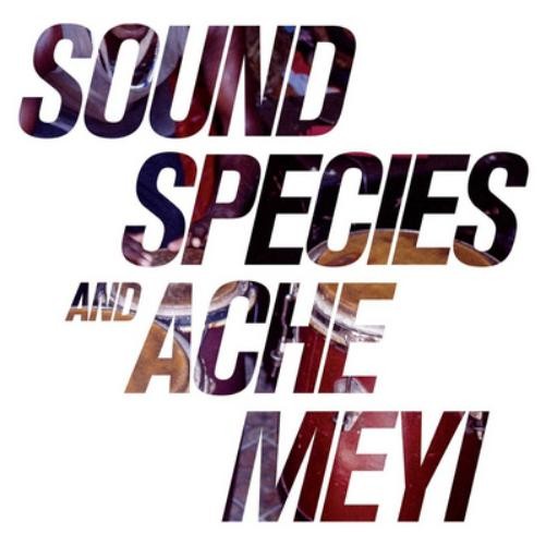 Sound Species and Ache Meyi Sound Species and Ache Meyi (Vinyl LP) 12" Album
