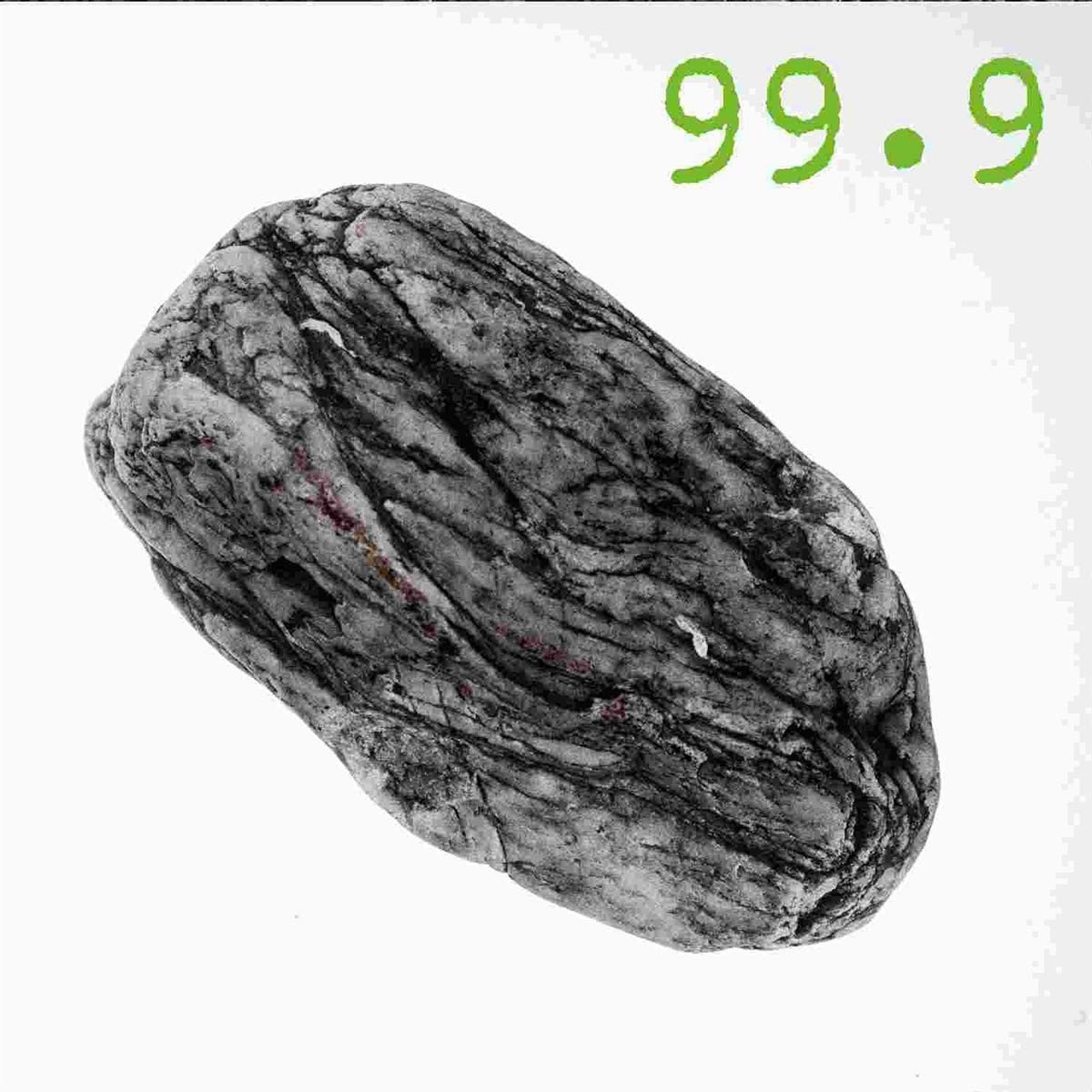 99.9 Silex (CD)