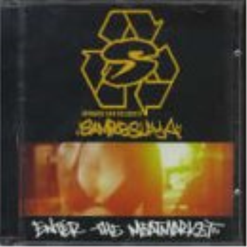 Armand Van Helden Sampleslaya (CD)
