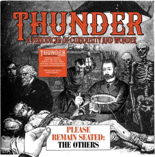 Thunder Please remain seated: The others (Vinyl LP) 12" Album