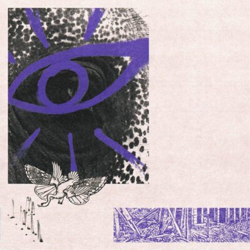 Hippo Campus LP3 (CD) Album