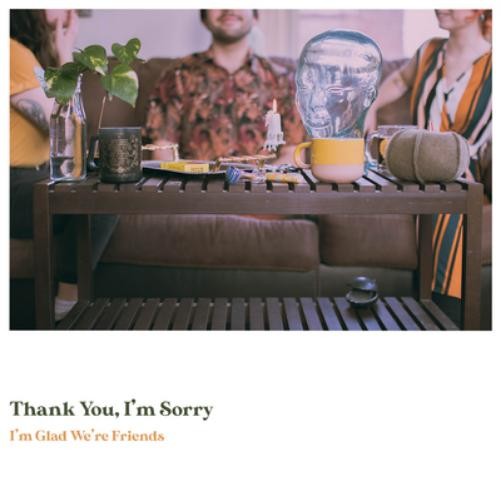 Thank You, I'm Sorry I'm Glad We're Friends (Vinyl LP)