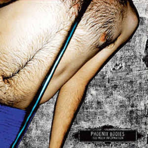 Too Much Information [CD/DVD] by Phoenix Bodies [DVD]