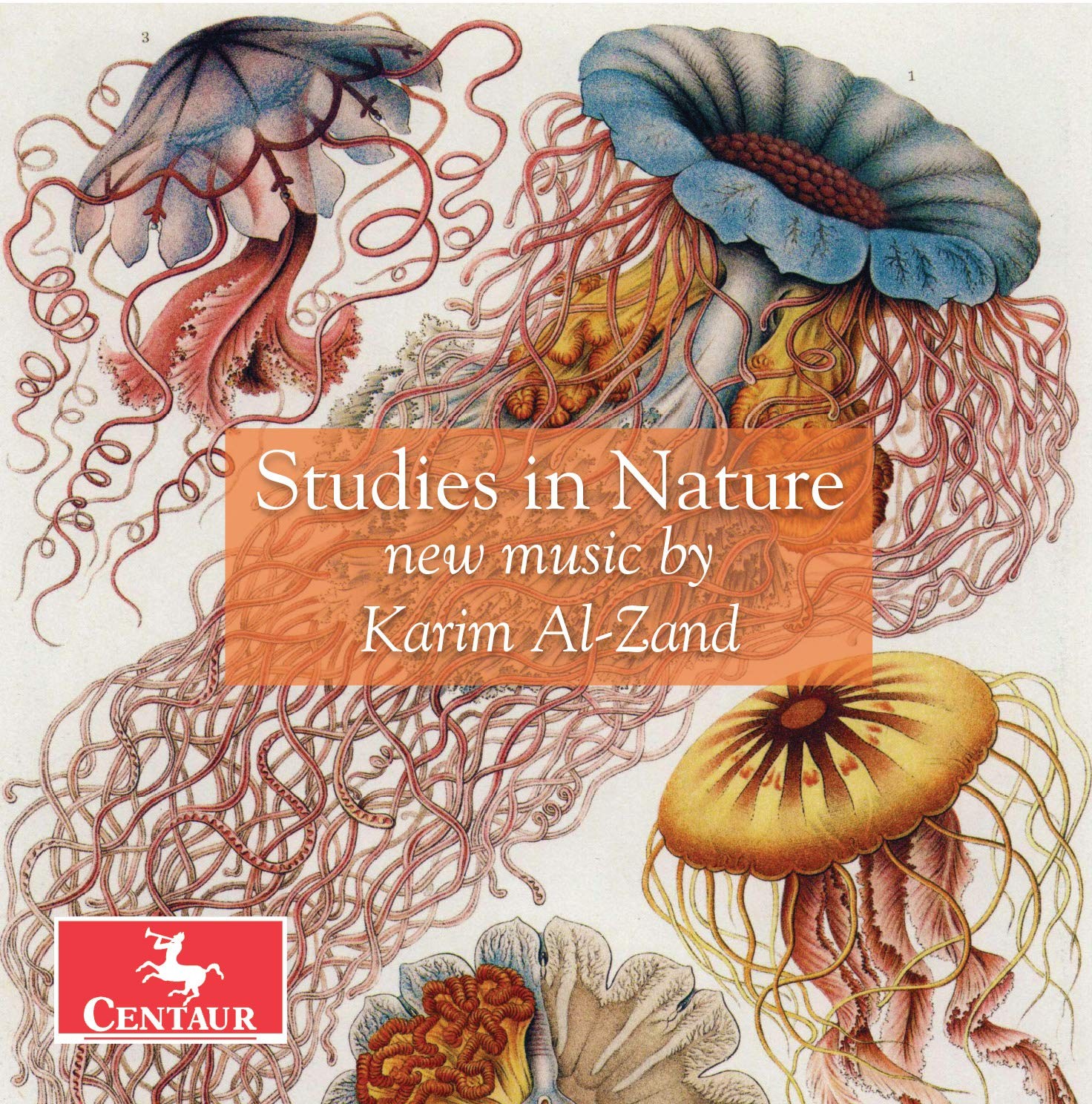 Al-Zand / Roitstein / Hauschildt Studies in Nature (CD)