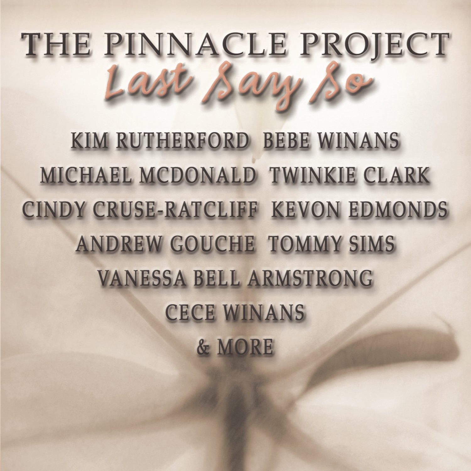 The Pinnacle Project The Pinnacle Project 2: Last Say So (CD)