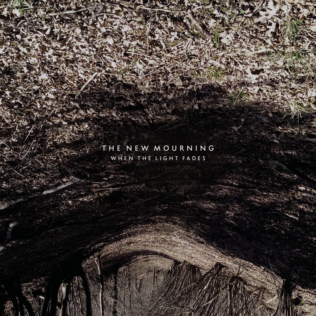 the New Mourning When the Light Fades (Vinyl LP)