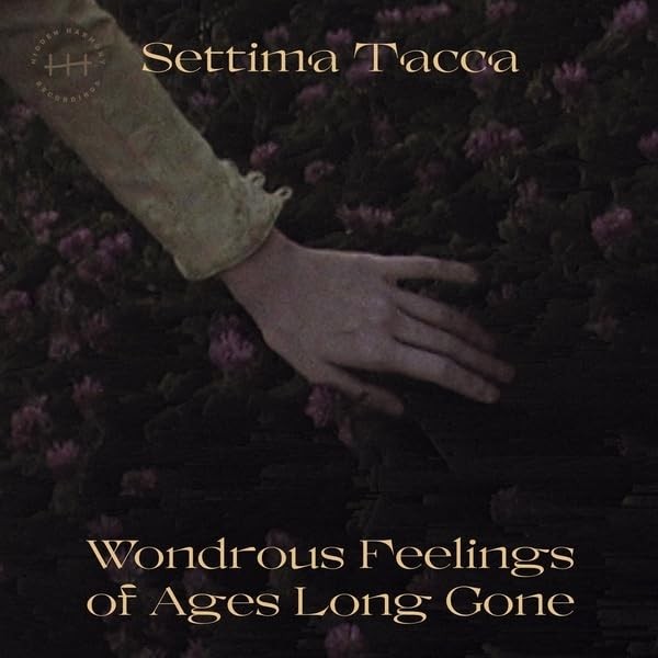Settima Tacca Wondrous Feelings Of Ages Long Gone (Vinyl LP)