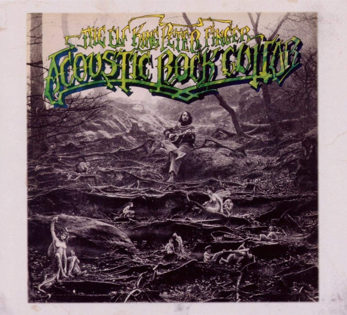 Peter Finger Acoustic Rock Guitar (CD)