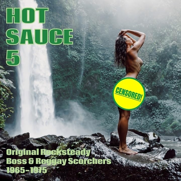 Various Artists Hot Sauce V.5 (Vinyl LP)