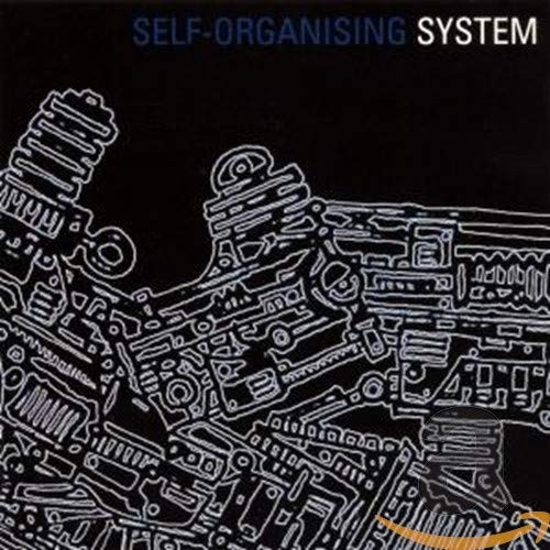 System Self Organising System (CD)