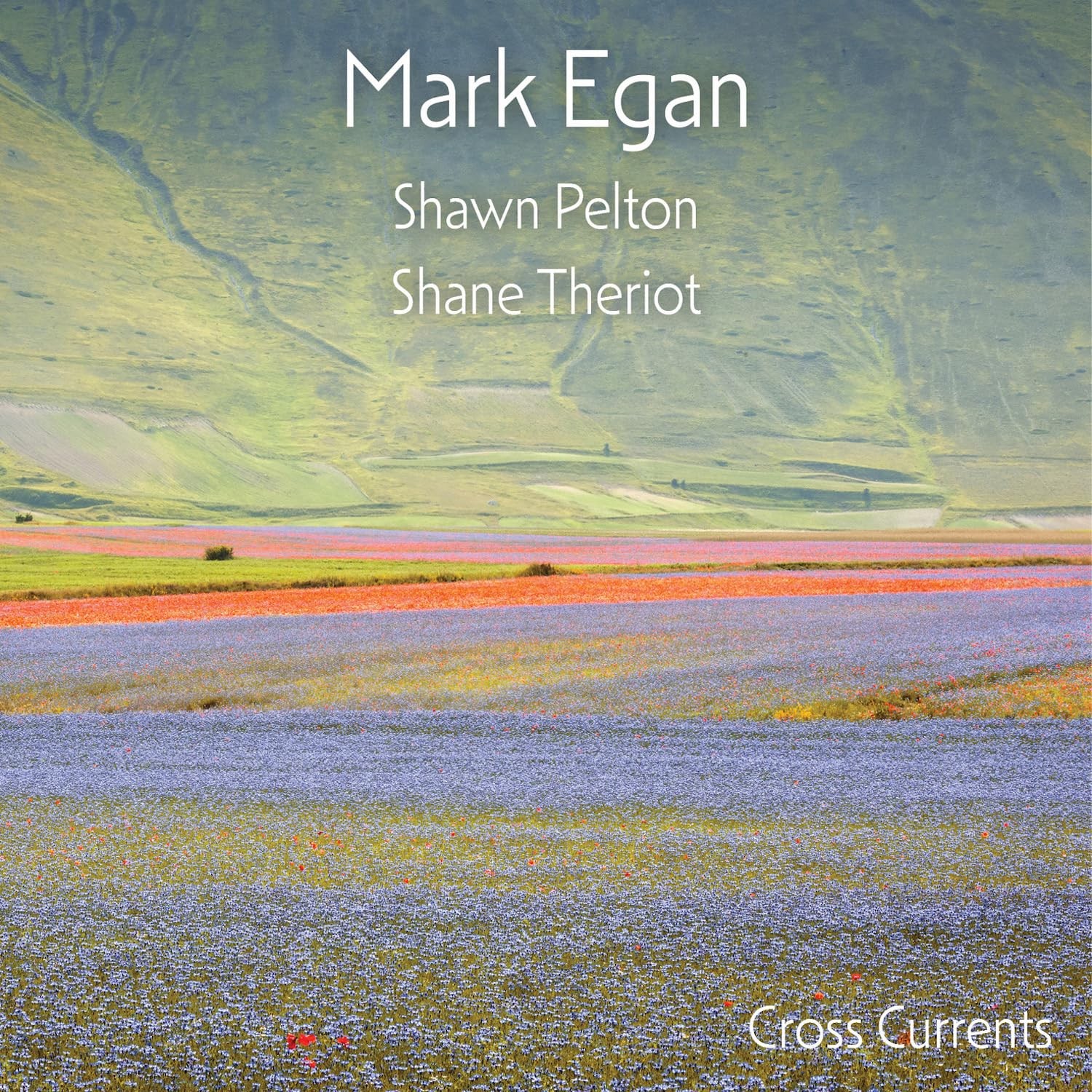 Mark Egan Cross Currents (Vinyl LP)