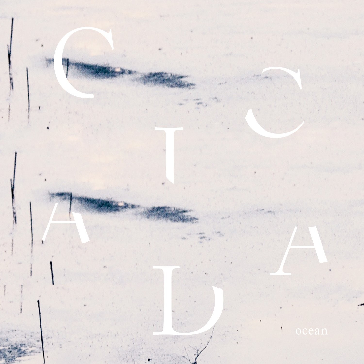 Cicada Ocean (CD)